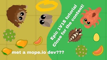 MOPE.IO 1V1 TUTORIAL // FINDING THE DEVELOPER IN MOPE.IO??? *NOT CLICKBAIT xD*