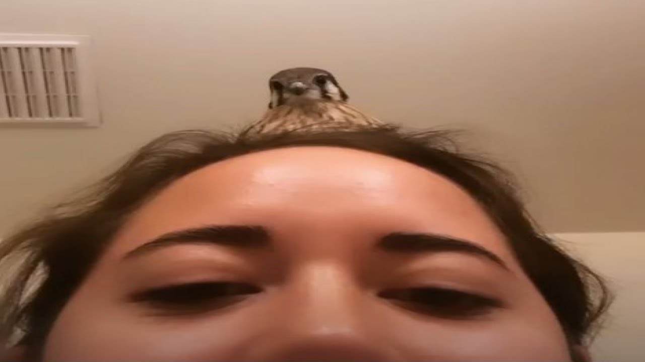 Old Clips of Maya that make me giggle