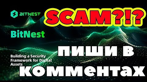 BitNest SCAM? BitNest Smart Contract SCAM Reviews