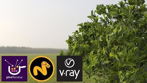 MODO | V-Ray 2-Sided Material