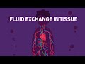Fluid Exchange in Tissues Quiz