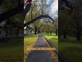 🌼 가을풍경, 노랗게 물든 멜버른 공원 #shorts