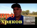 как приструнить хряка//как меня чуть не порвал хряк