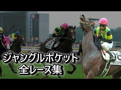 GⅠ 優勝馬ジャングルポケット　記念品 データ付き】ジャングルポケット 全レース集 Jungle Pocket Race