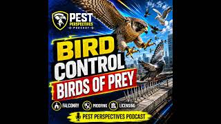 Bird Control with Birds of Prey: Falconry, Proofing, Licensing & Business Growth screenshot 5