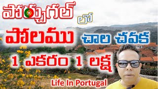 Land For Sale In Portugal PART  2 | Life In Portugal | Life In Europe | Telugu Vlogs Europe |