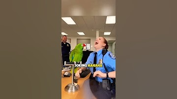 little troublemaker// funny Parrot video// #ytshorts #parrot #funny #birds #short #shorts #viral
