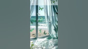 آيات من سورة القصص بصوت ياسر الدوسري