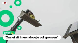 Challenge Welk Ei Overleeft Een Val Van 7 Meter?