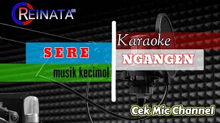 KARAOKE SERE NGANGEN REINATA 05 | kecimol lombok dangdut jalanan