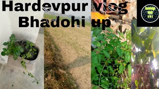 Hardevpur Bhadohi vlog 2021