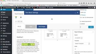 Forge WordPress Website Tutorial – Making Text Changes