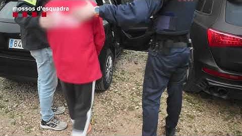 Detenen a Amposta un home per introduir bitllets falsos de 200 euros fabricats a Bulgària