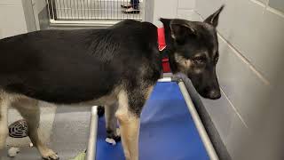 acs A689478