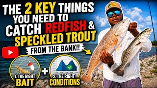 The 2 Key THINGS You Need To Catch REDFISH & SPECKLED TROUT From The BANK! 