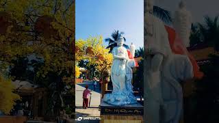 Chùa Liên Hoa Chuẩn bị Hoa Tết Rất Đẹp.