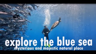 explore the blue sea / mysterious and majestic natural place / 4kvideo 4k