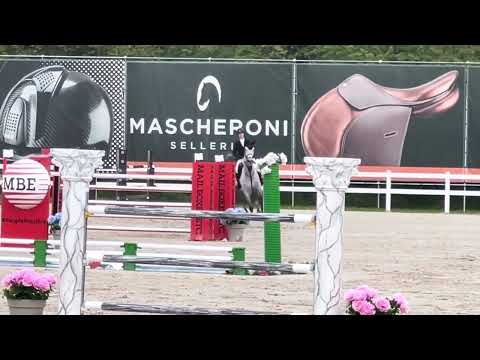 Katania 150 LR CSIO3*** Gorla Minore 11th place