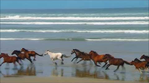 Windows Movie Maker Test Video