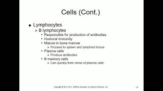Pathophysiology Lectures  Dr. Saudi Chapter 7 Immunity