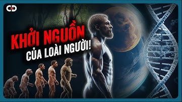 Sự Khởi Đầu Bí Ẩn Của Nhân Loại: Chúng Ta Từ Đâu Đến?