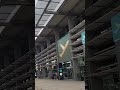 In taxi all'Aeroporto di Falconara