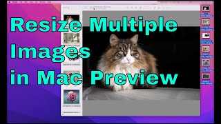 Resize several Images in Mac Preview - No Adobe Photoshop