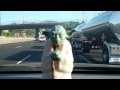 Grateful Dead - Yoda Enjoying Dave&#39;s Picks Volume 3