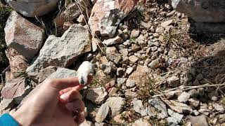 ILGAR DAĞI Zirve- 2918 metre... zirvedeyiz. :)