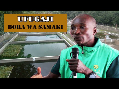 Video: Jinsi Ya Kutengeneza Sanduku Lako La Uvuvi La Msimu Wa Baridi