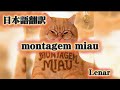 Montagem Miau日本語翻訳 Montagem Miau Lenar 日本語翻訳 Music