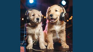 Calm Canine Peaceful Echoes
