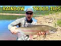 Top 10 rainbow trout fishing tips never forget 1