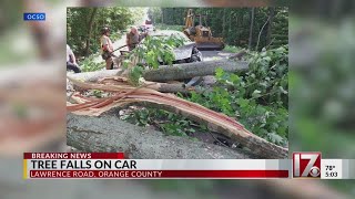 Tree injures car occupants, closes road near Hillsborough