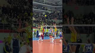 Fenerbahçe Imoco Volleye Set Vermedi 