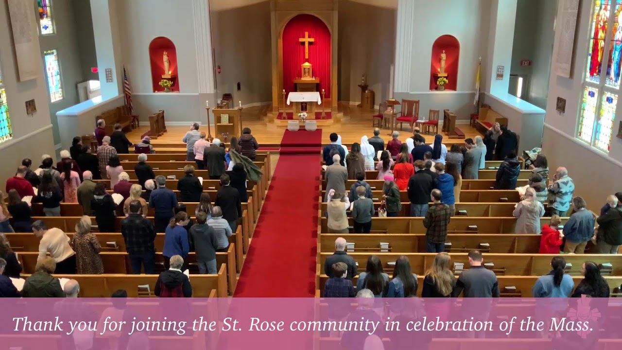 Sixth Sunday in Ordinary Time, 15 February 2026