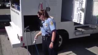Rocklin Animal Control