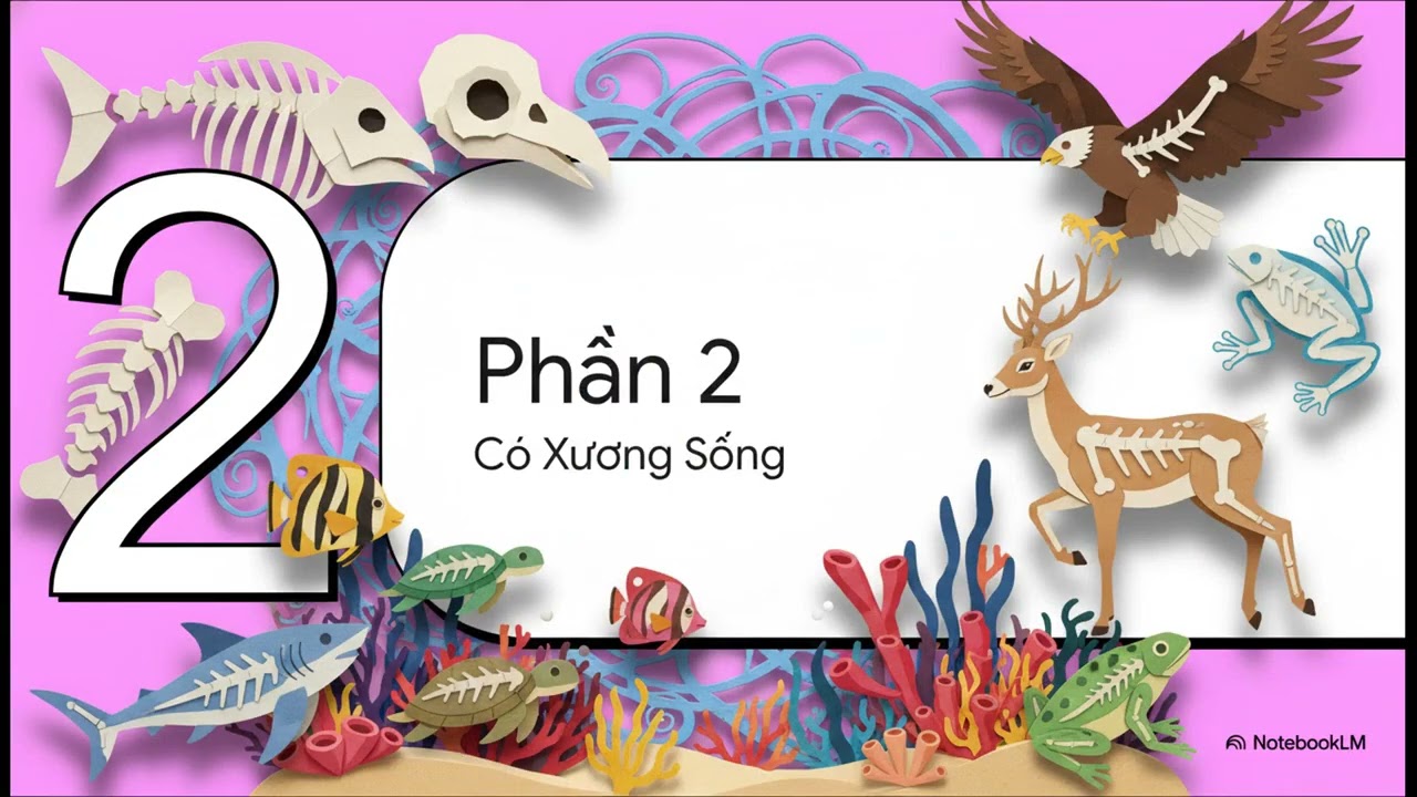 Bài 36. ĐỘNG VẬT (KHTN6)