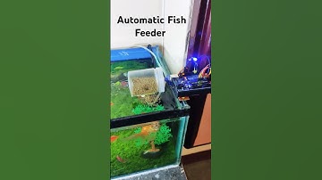 How to make Automatic Fish Feeder Machine #arduino #electronicproject #fishfeeder #fish