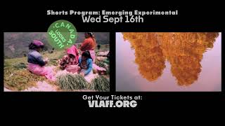 Emerging Experimental - Canada Looks South Shorts Program | Official Trailer | VLAFF 2026