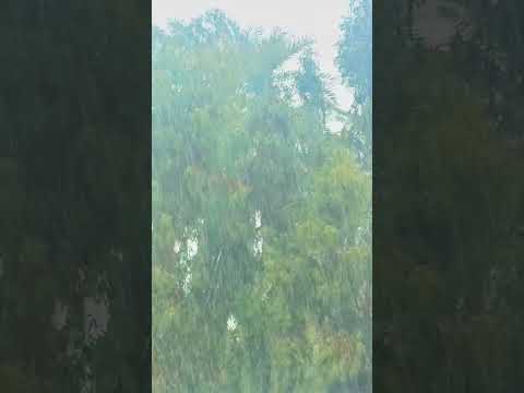 د كك م طࢪ اللهم زد وباࢪك