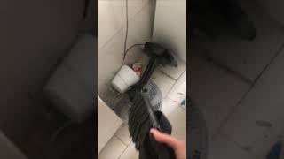 Owner Filming a Wrecked Kitchen and Her Pitbull