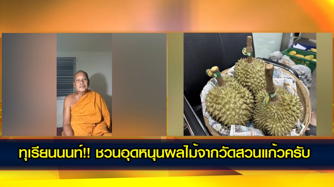ทุเรียนนนท์!! ชวนอุดหนุนผลไม้จากวัดสวนแก้วครับ