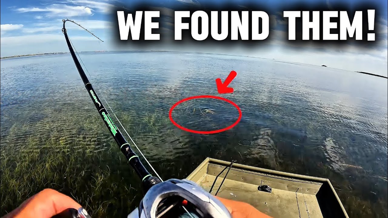 Fishing STX Calm Glass Waters for Trout & Redfish