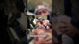 Viper's Album 'Hacks' for Massive Output