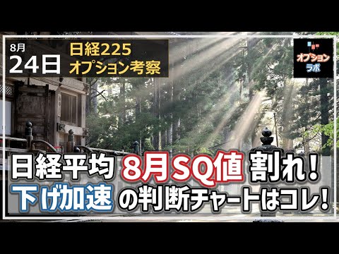 【日経225オプション考察】8/24 日経平均 重要な8月SQ値28525円割れ！ 下げ加速の判断チャートはコレだ！