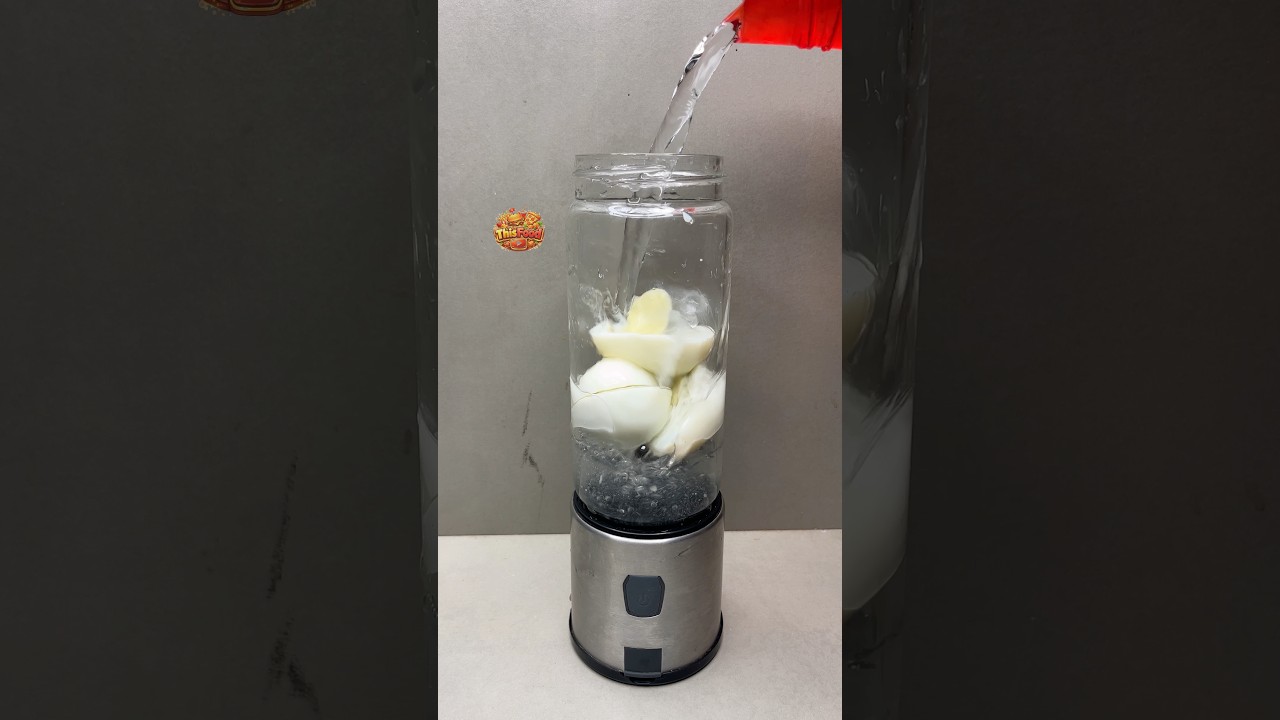 Chopped Egg Vs, Mini Blender🤩