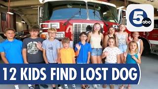 Kids rescue dog ejected in Vermilion car crash