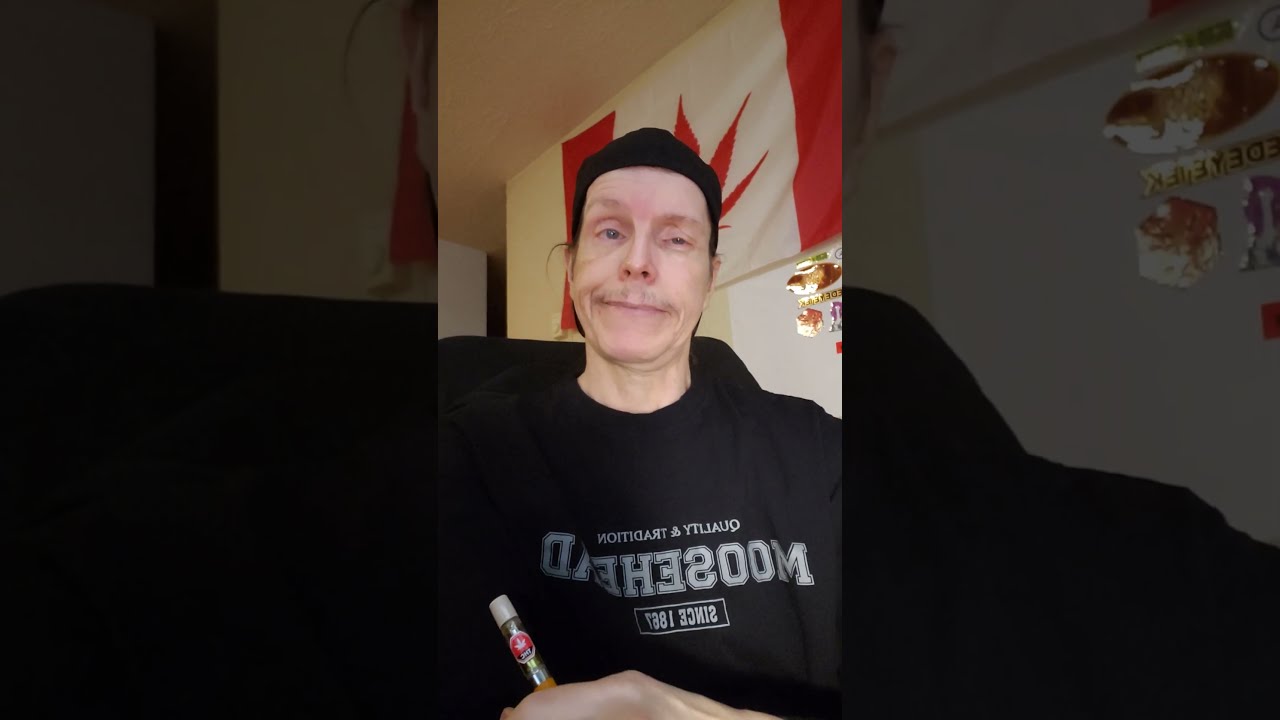 A Cloudy day  with  FIGR's Hibiscus Sunrise Indica 