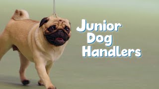 Junior Dog Handlers Super Tease